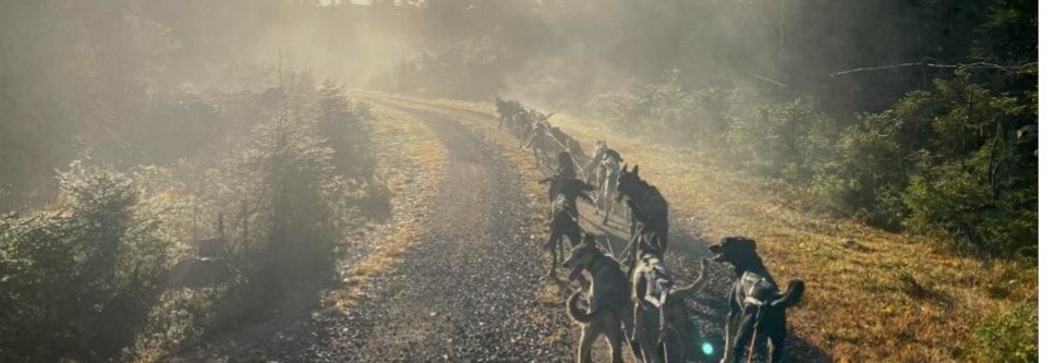 Finnemarkas barmarksløp 2023